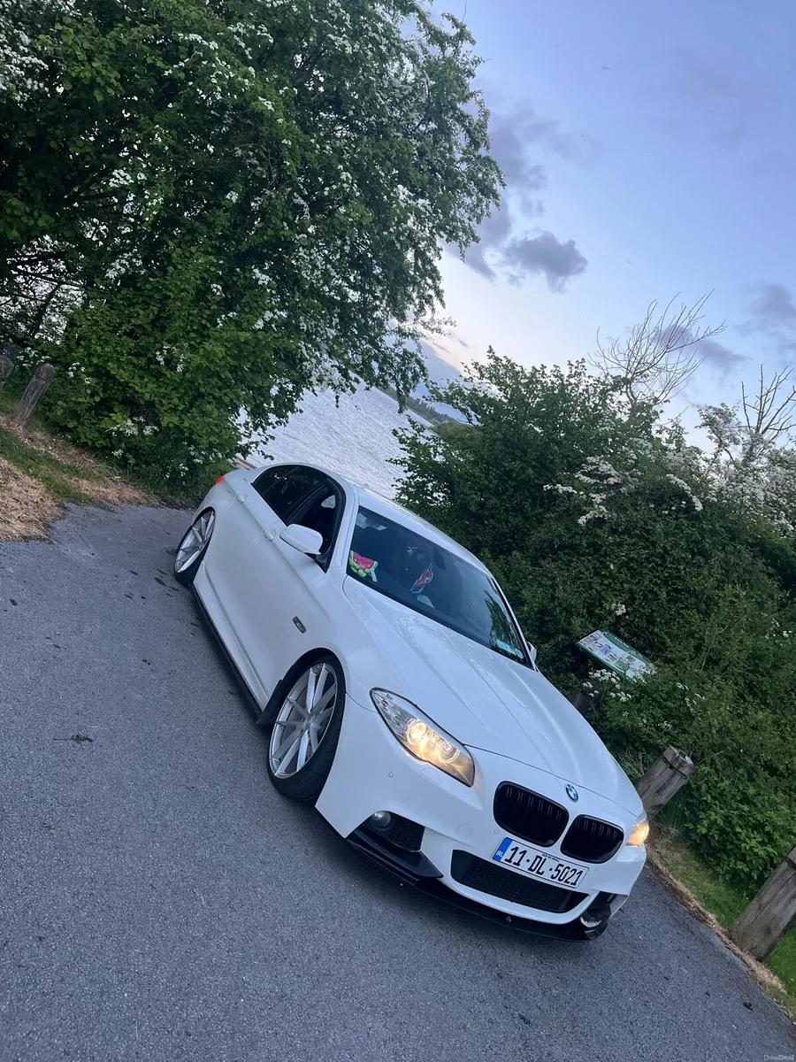 Bmw F10 Manual - Image 2