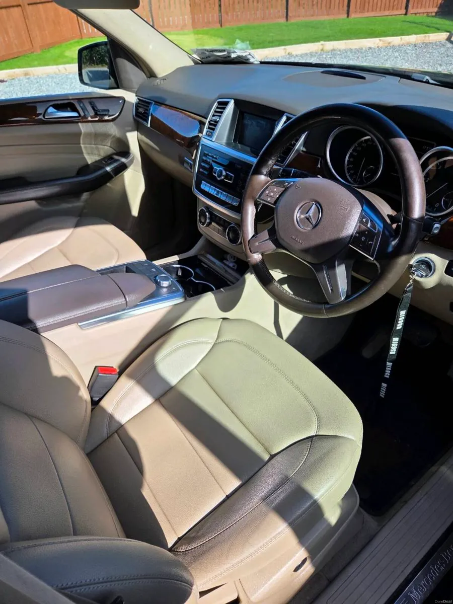 Mercedes ML 250 - Image 5