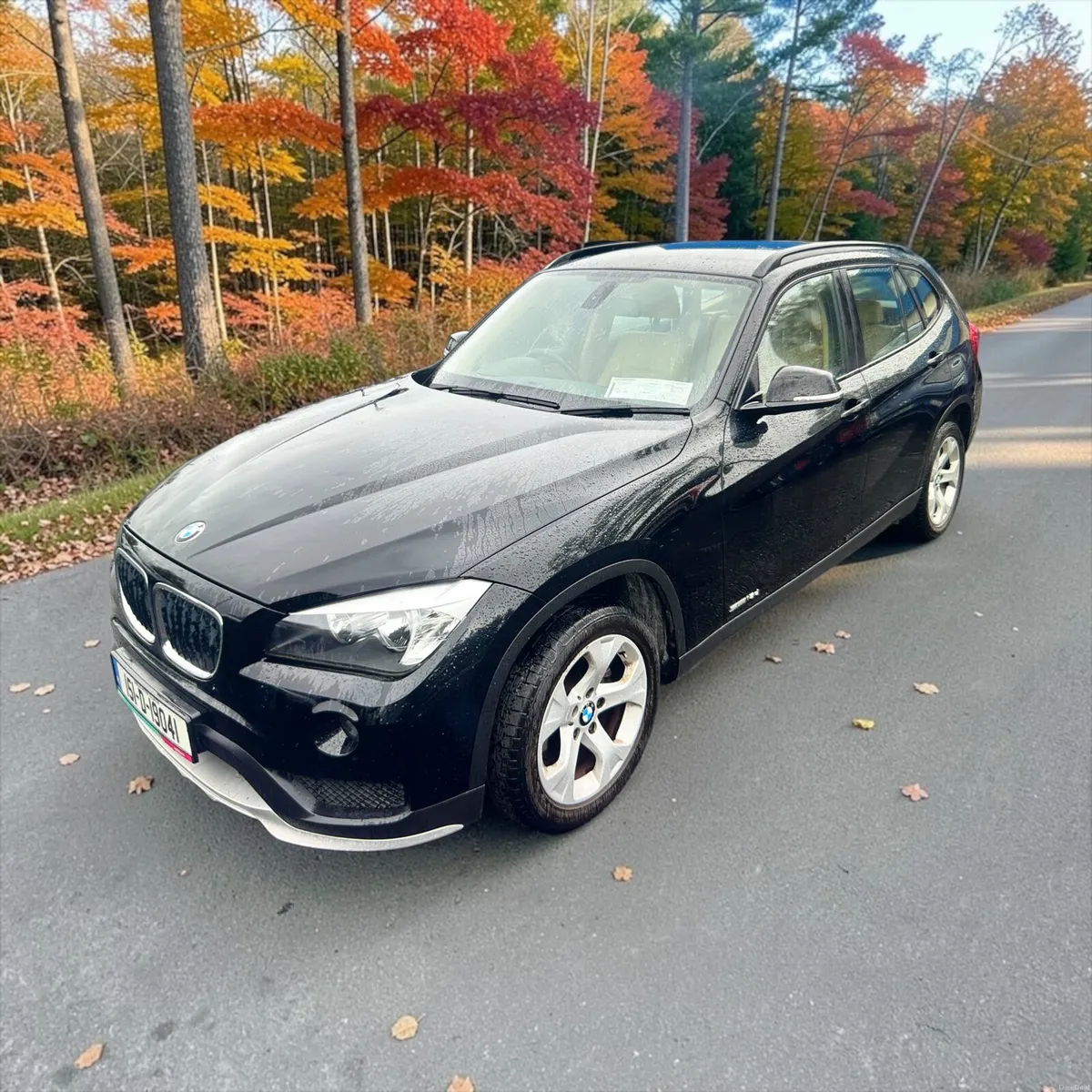2015 BMW X1 sDrive16d SE - Image 5