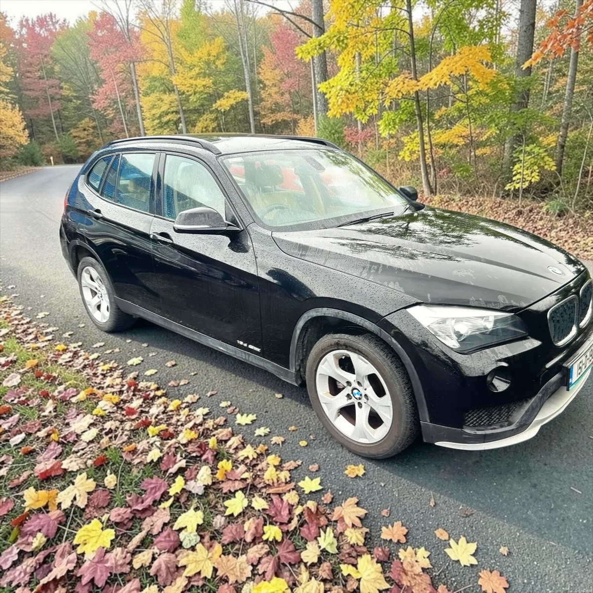 2015 BMW X1 sDrive16d SE - Image 3
