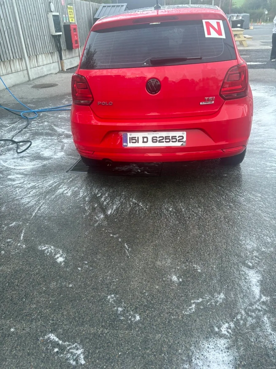 151 polo - Image 5