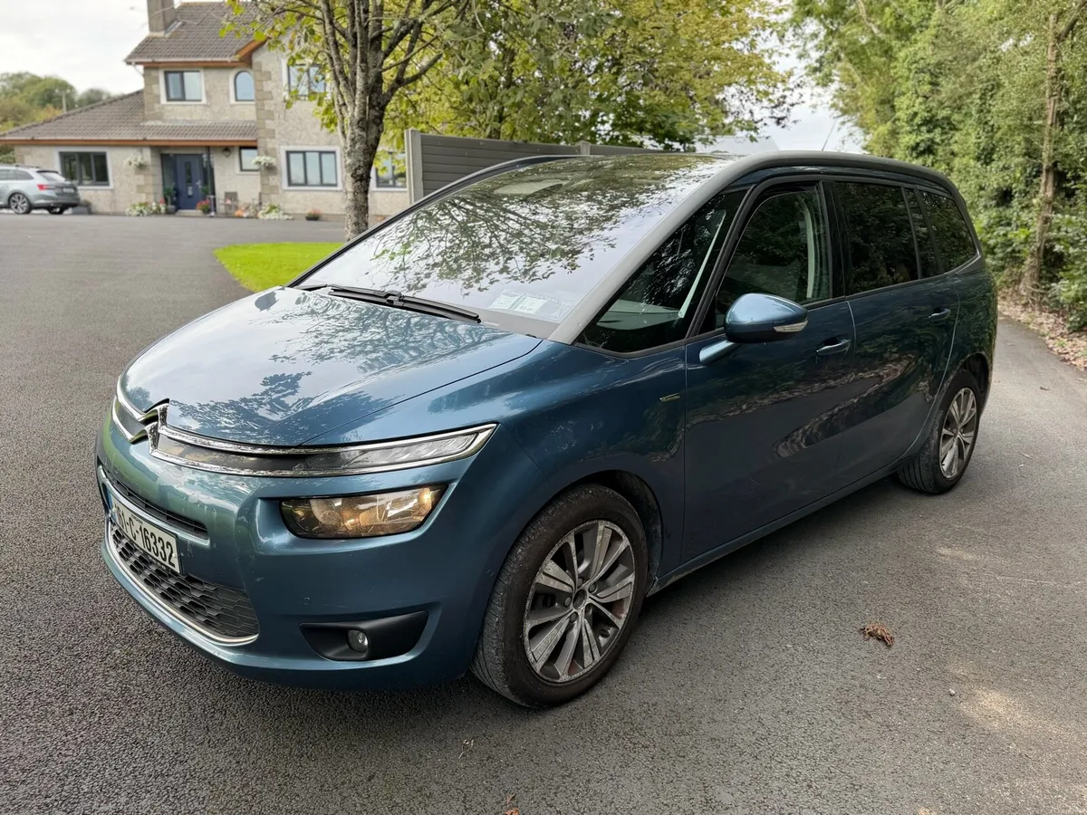 7 seater Picasso - Image 3