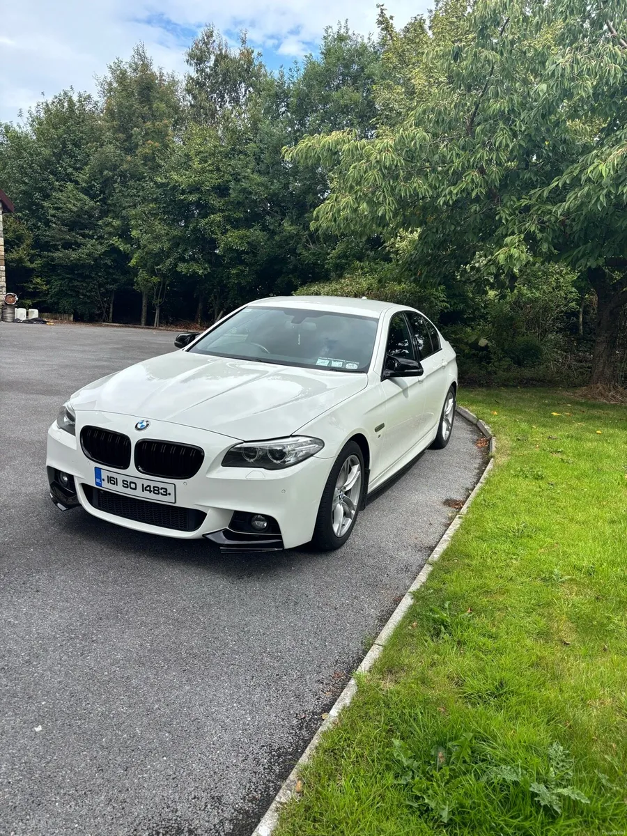 Bmw 520D Msport - Image 2