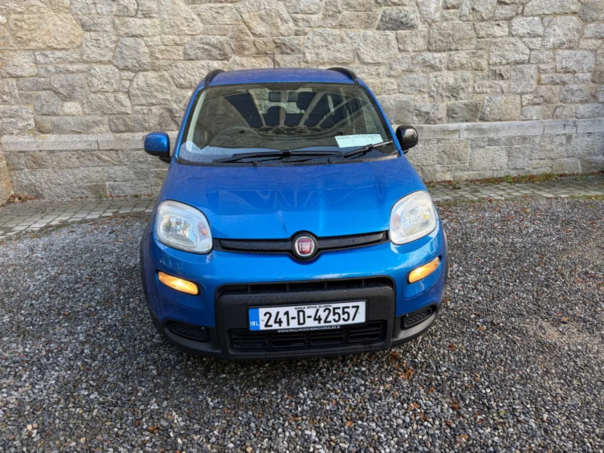 Fiat Panda 1.0 MHEV - Image 4