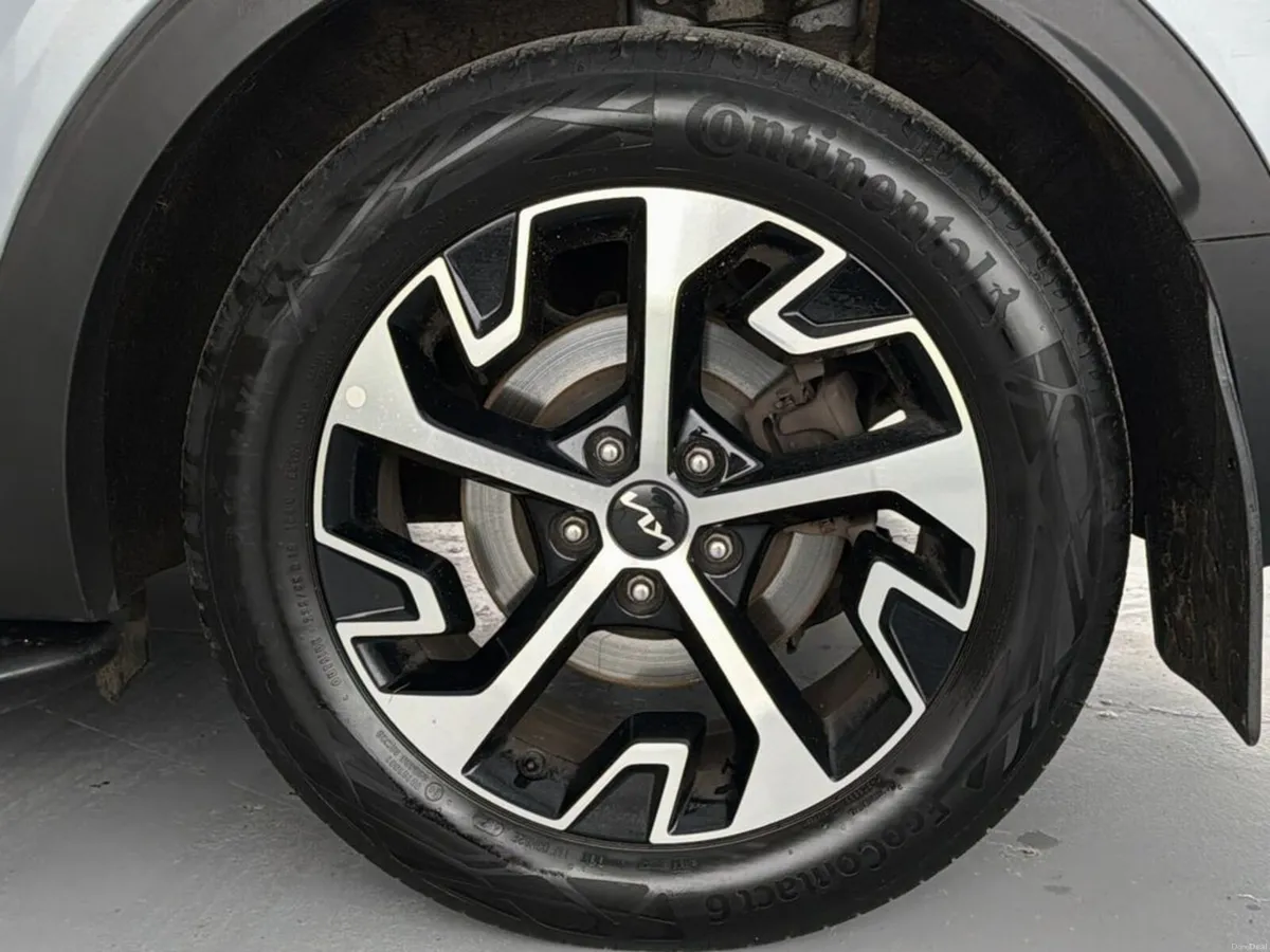 Image 3 of 43