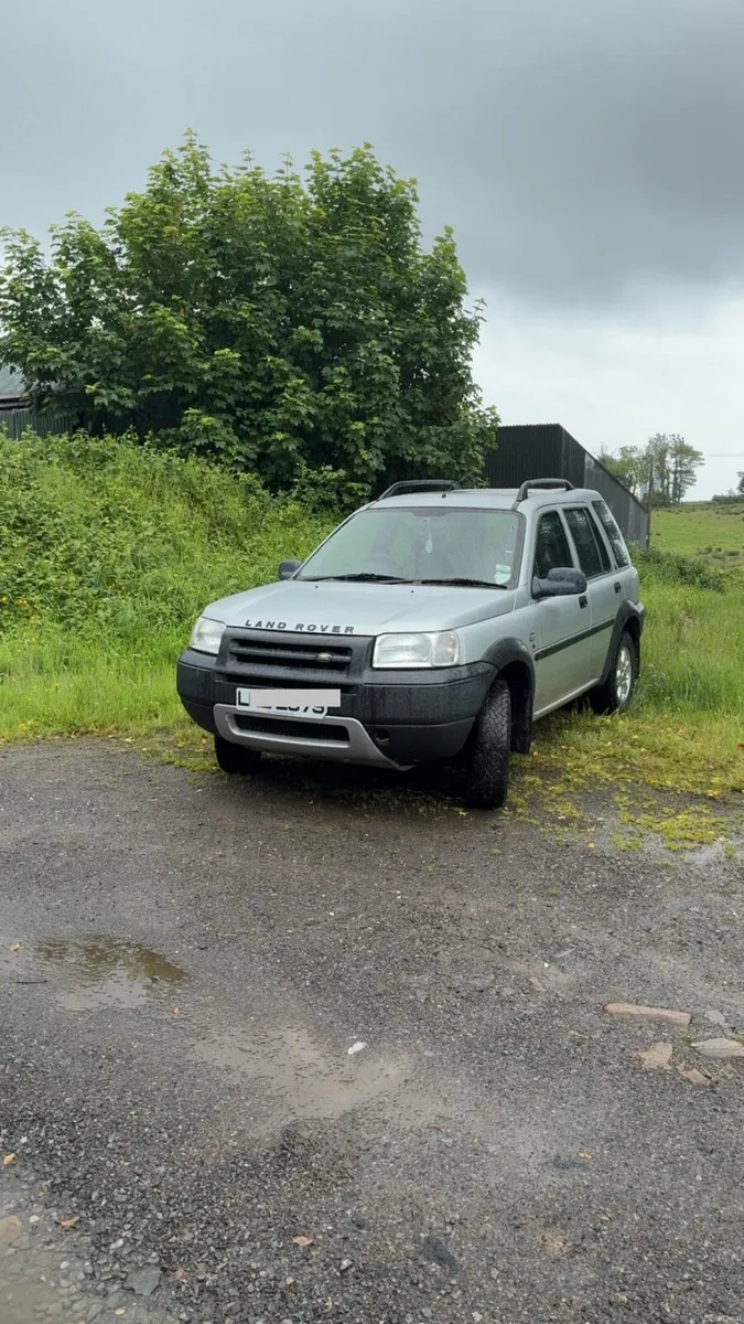 Freelander - Image 3