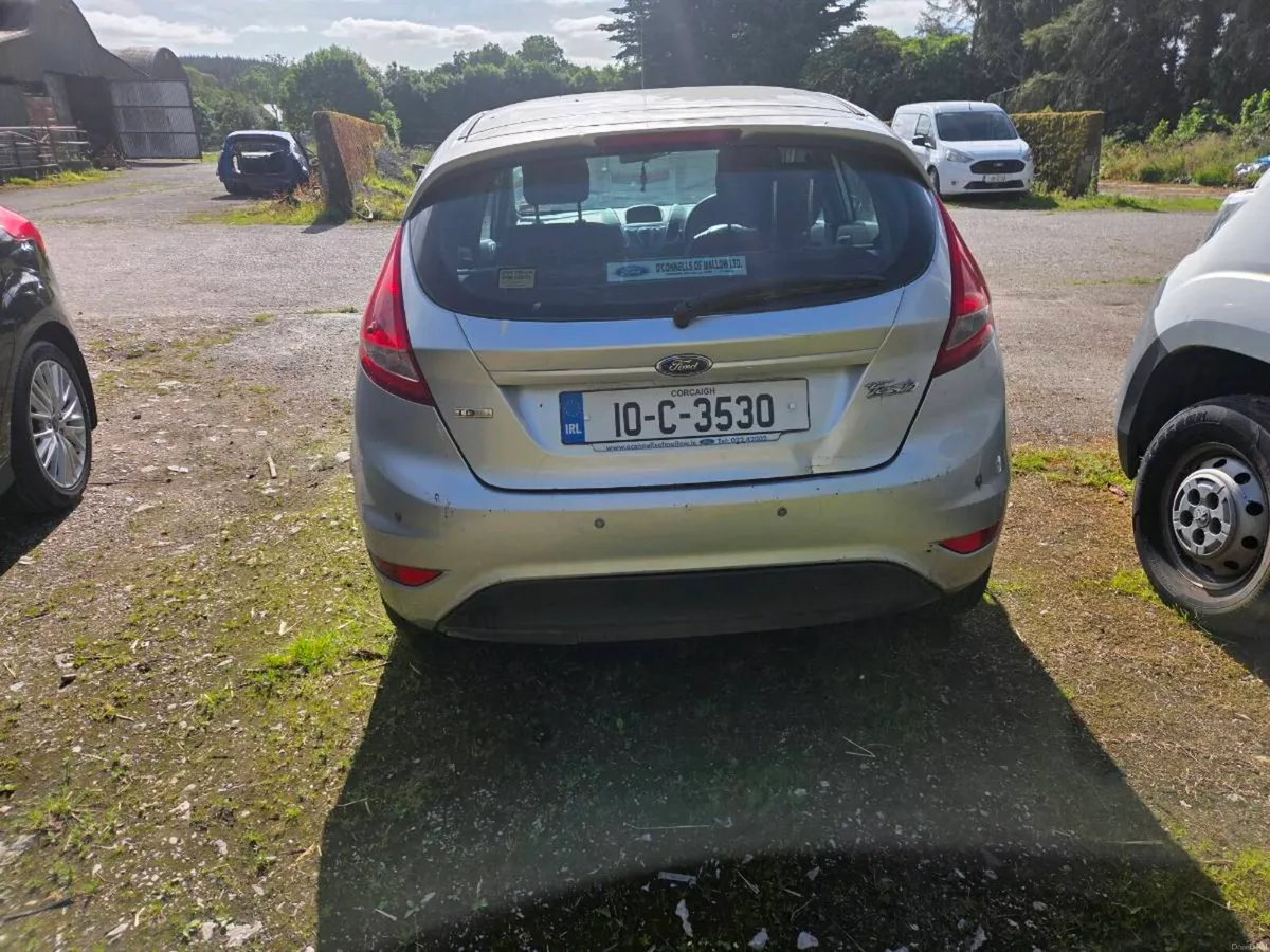 Fiesta - Image 1