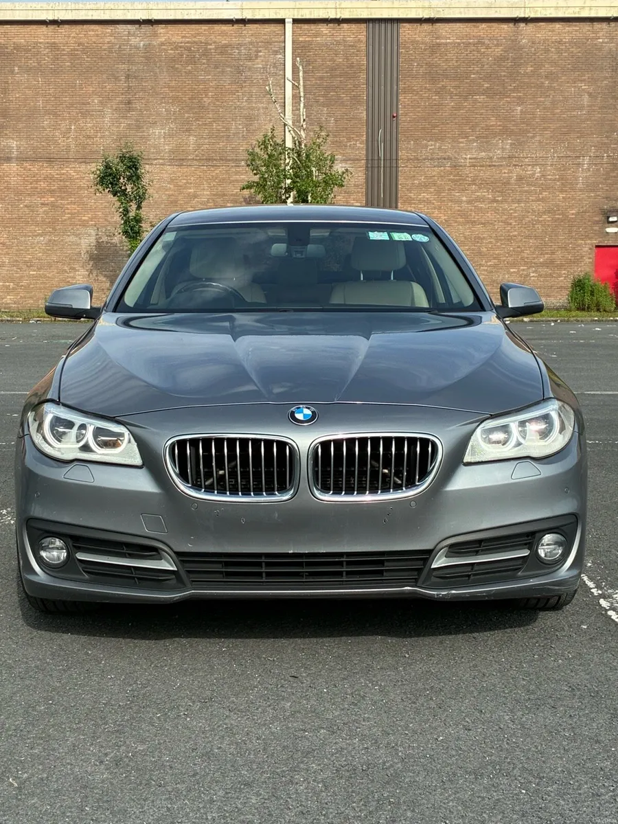 BMW 520 full service history - Image 1