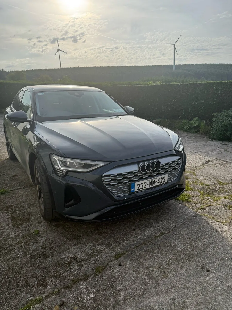 Audi Q8 50 Etron - Image 1