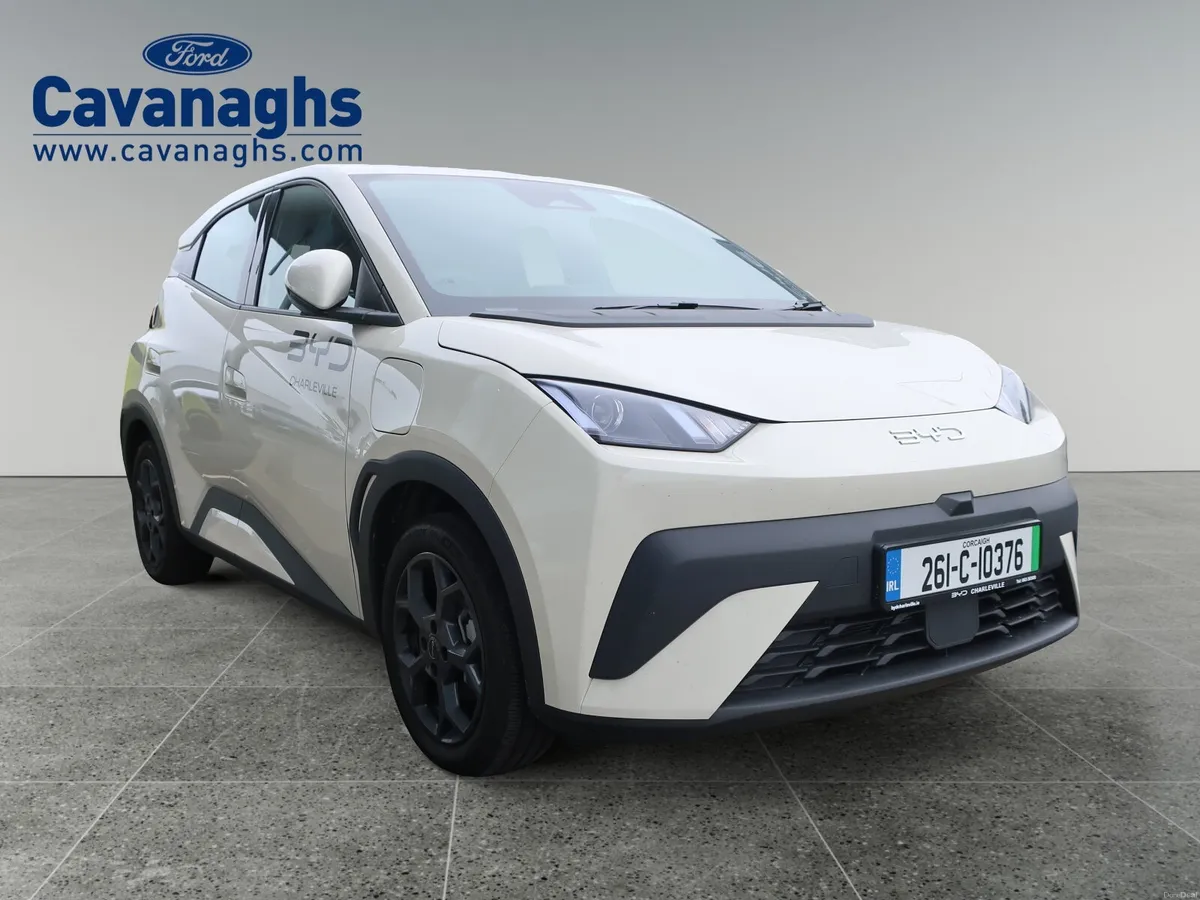 2026 BYD DOLPHIN SURF - Image 4