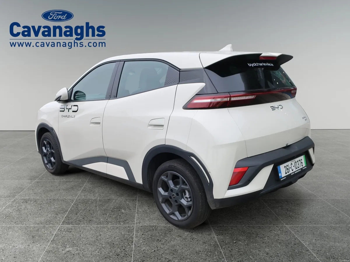 2026 BYD DOLPHIN SURF - Image 3