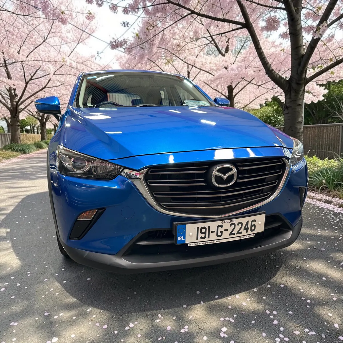 2019 Mazda CX-3 1.8D (115ps) EXECUTIVE - Image 5