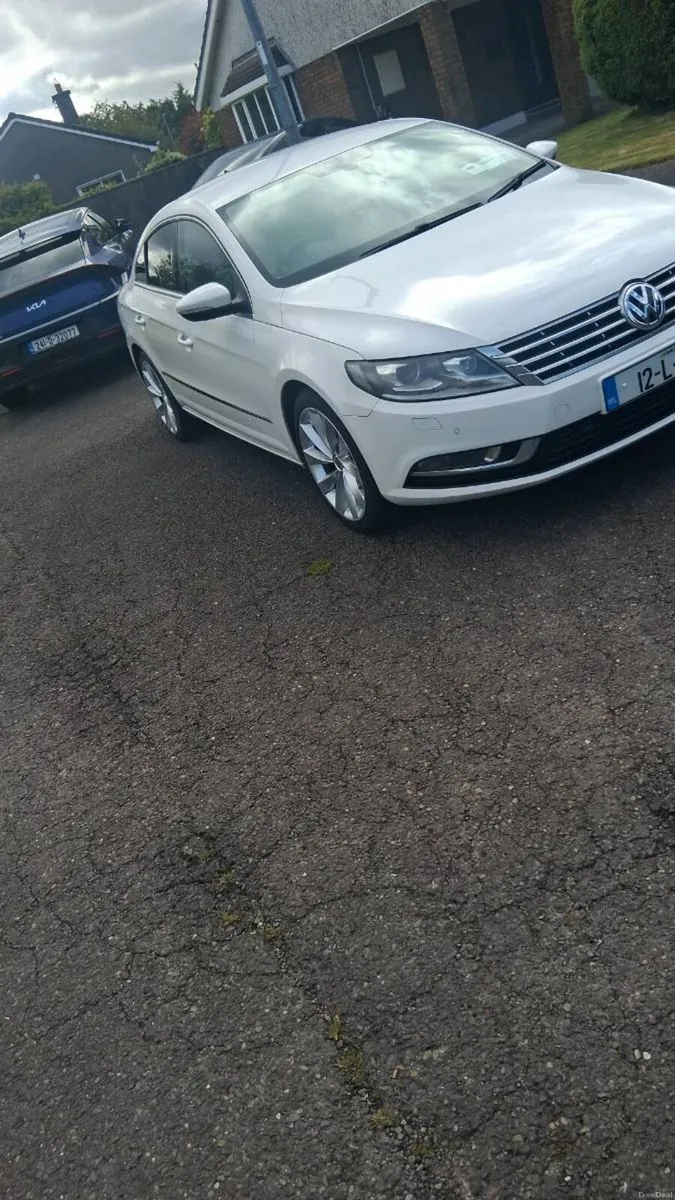 Passat - Image 2