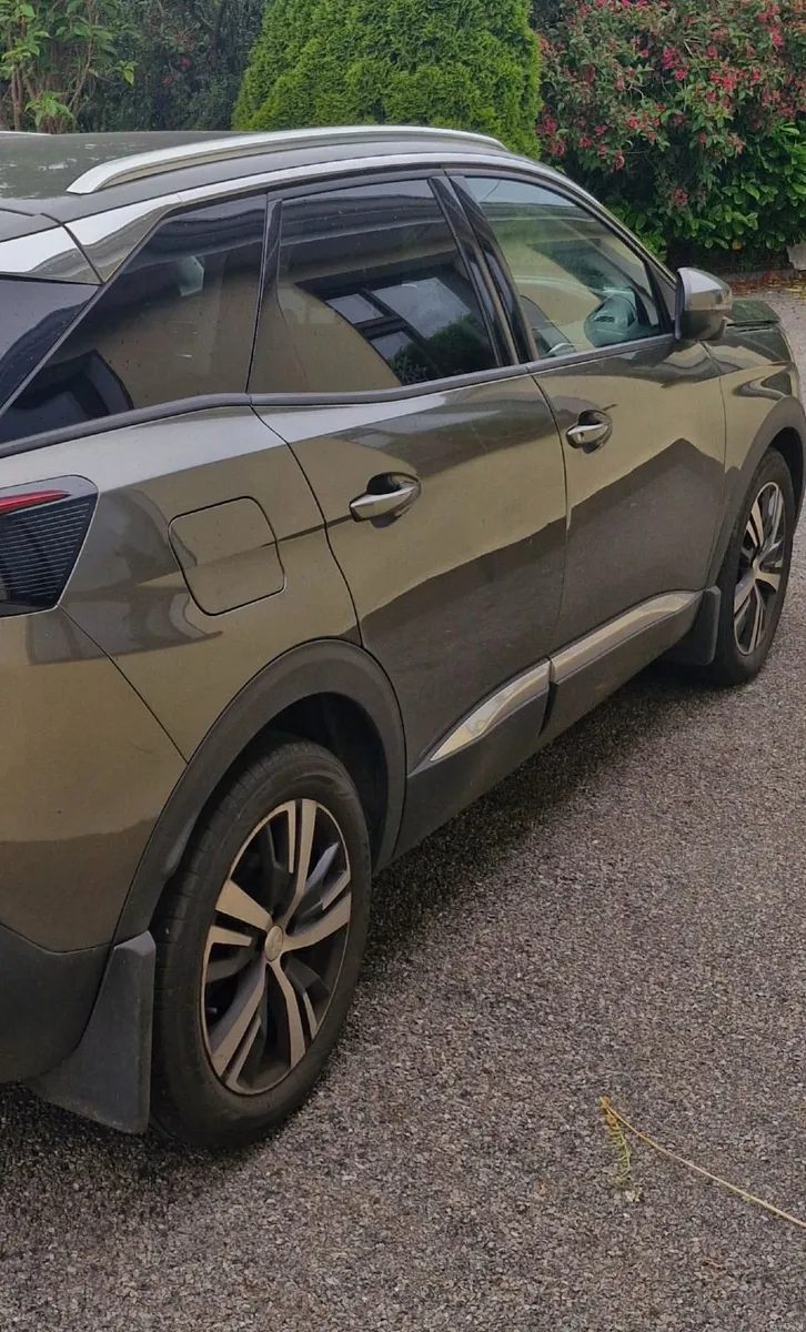Peugeot 3008 2020 - Image 2