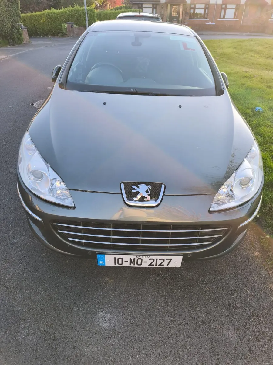 Peugeot 407 2010 - Image 1
