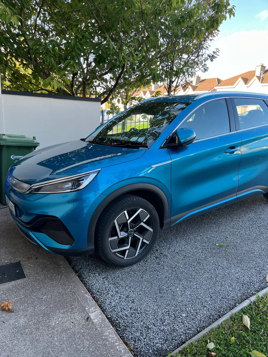 Gorgeous BYD - Image 5