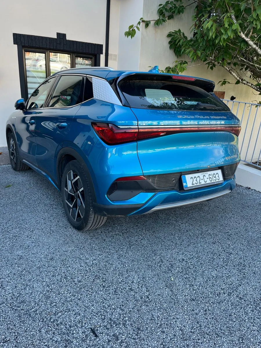 Gorgeous BYD - Image 6