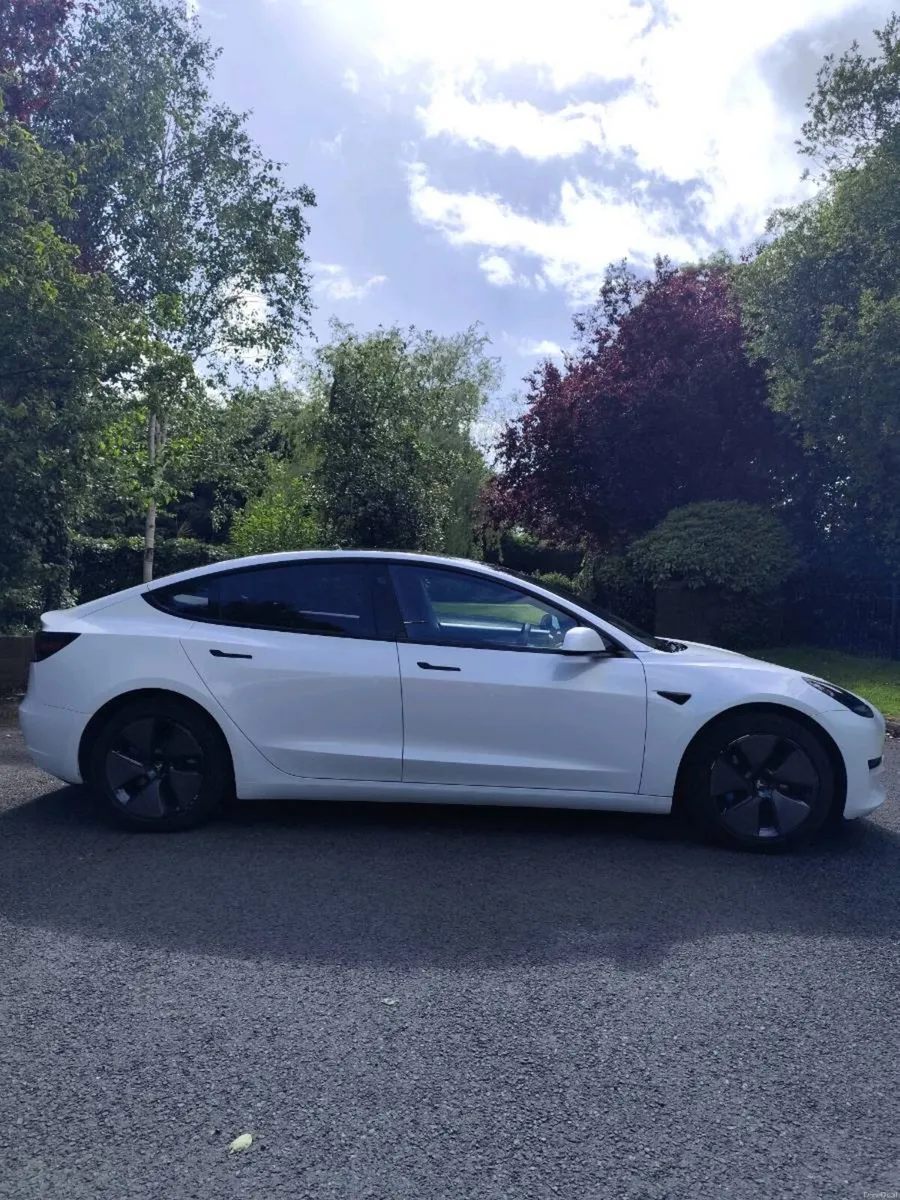 212 TESLA MODEL 3 STANDARD PLUS - Image 2