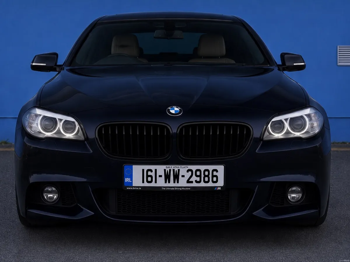 2016 BMW 5 SERIES F10 520D M-Sport LOW KMS NEW NCT - Image 2
