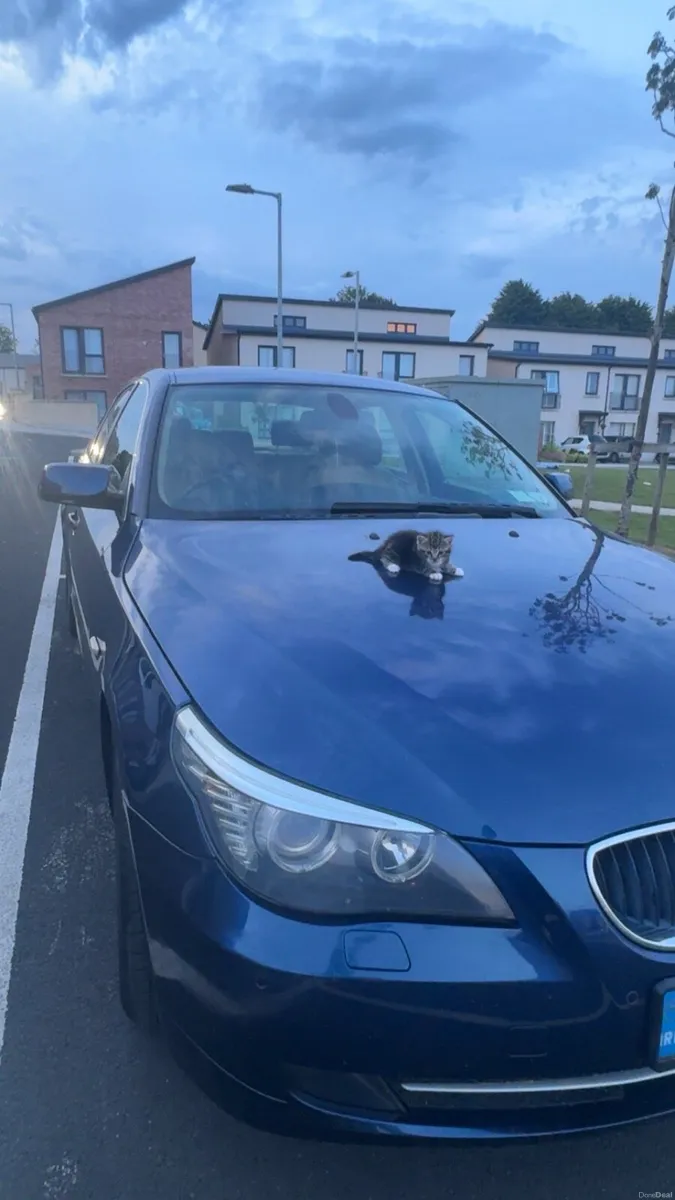 BMW 520d lci e60 full year nct - Image 2