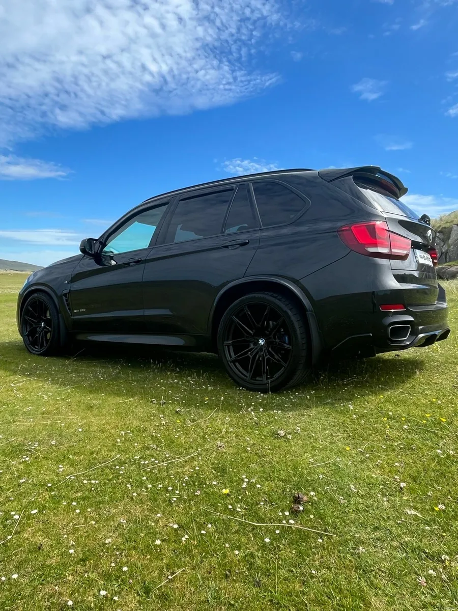 BMW x5 3.0d xDrive 30d M Sport Auto (F15) - Image 2