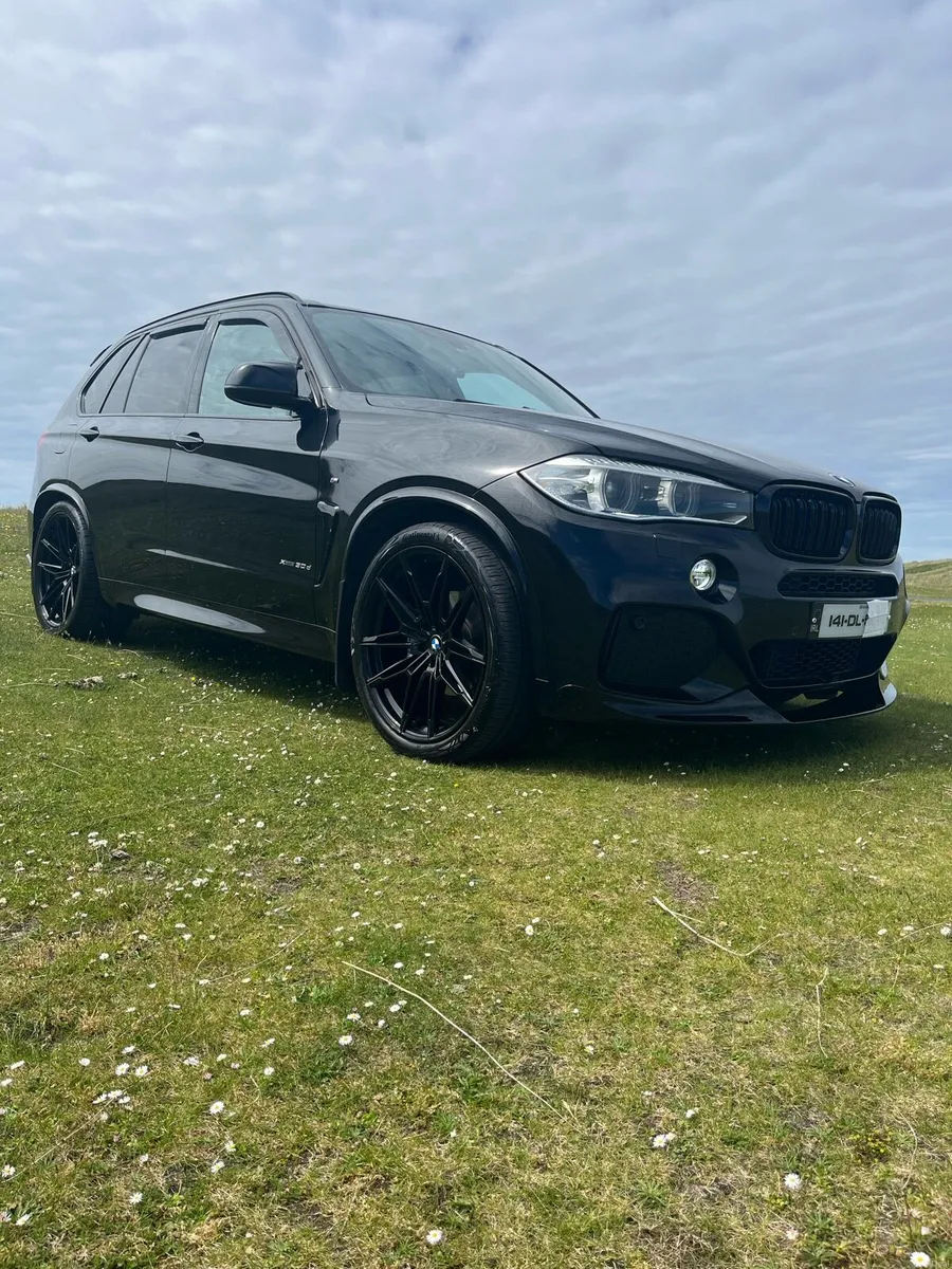 BMW x5 3.0d xDrive 30d M Sport Auto (F15) - Image 4