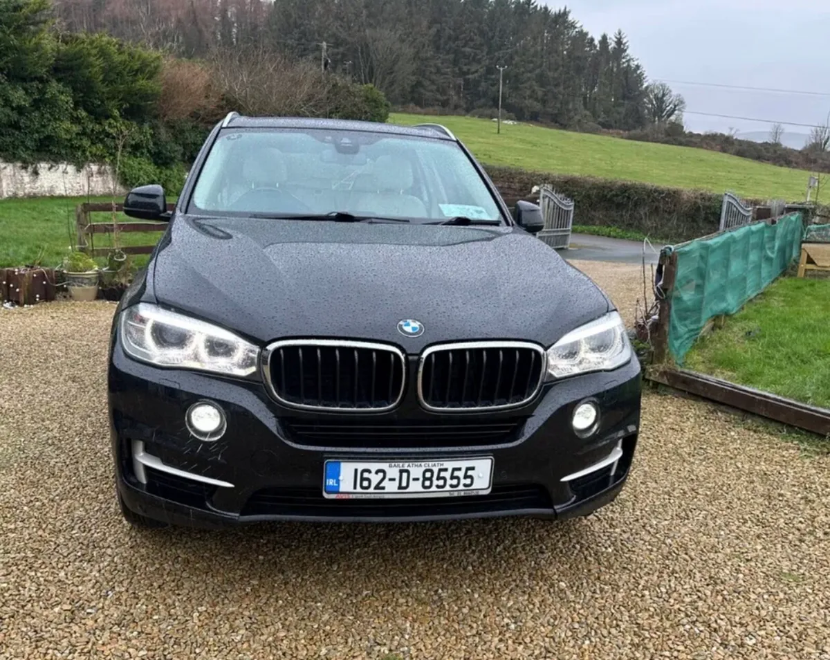 BMW X5 xDrive20d - Image 2
