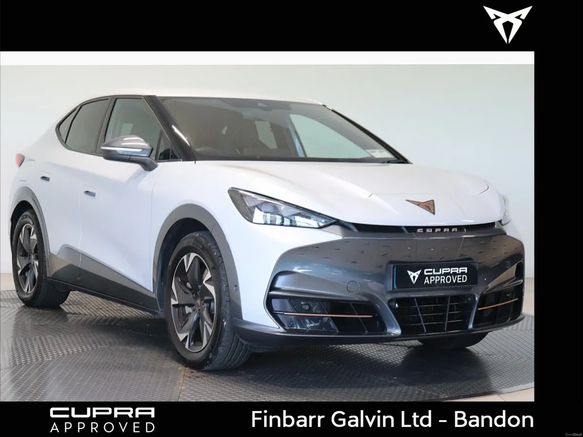 Cupra  TAVASCAN ENDURANCE 282HP (4) - Image 1
