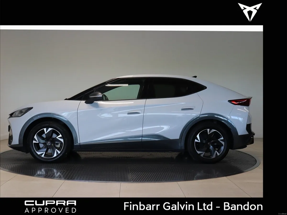 Cupra  TAVASCAN ENDURANCE 282HP (4) - Image 3