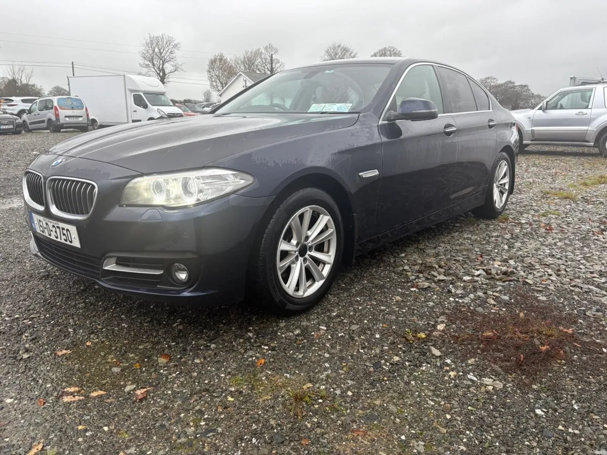 BMW 518 - Image 2