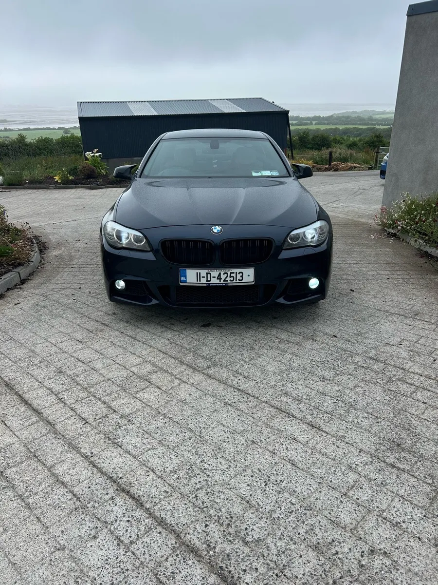 BMW F10 520d M Sport (NCT 03/27) - Image 1
