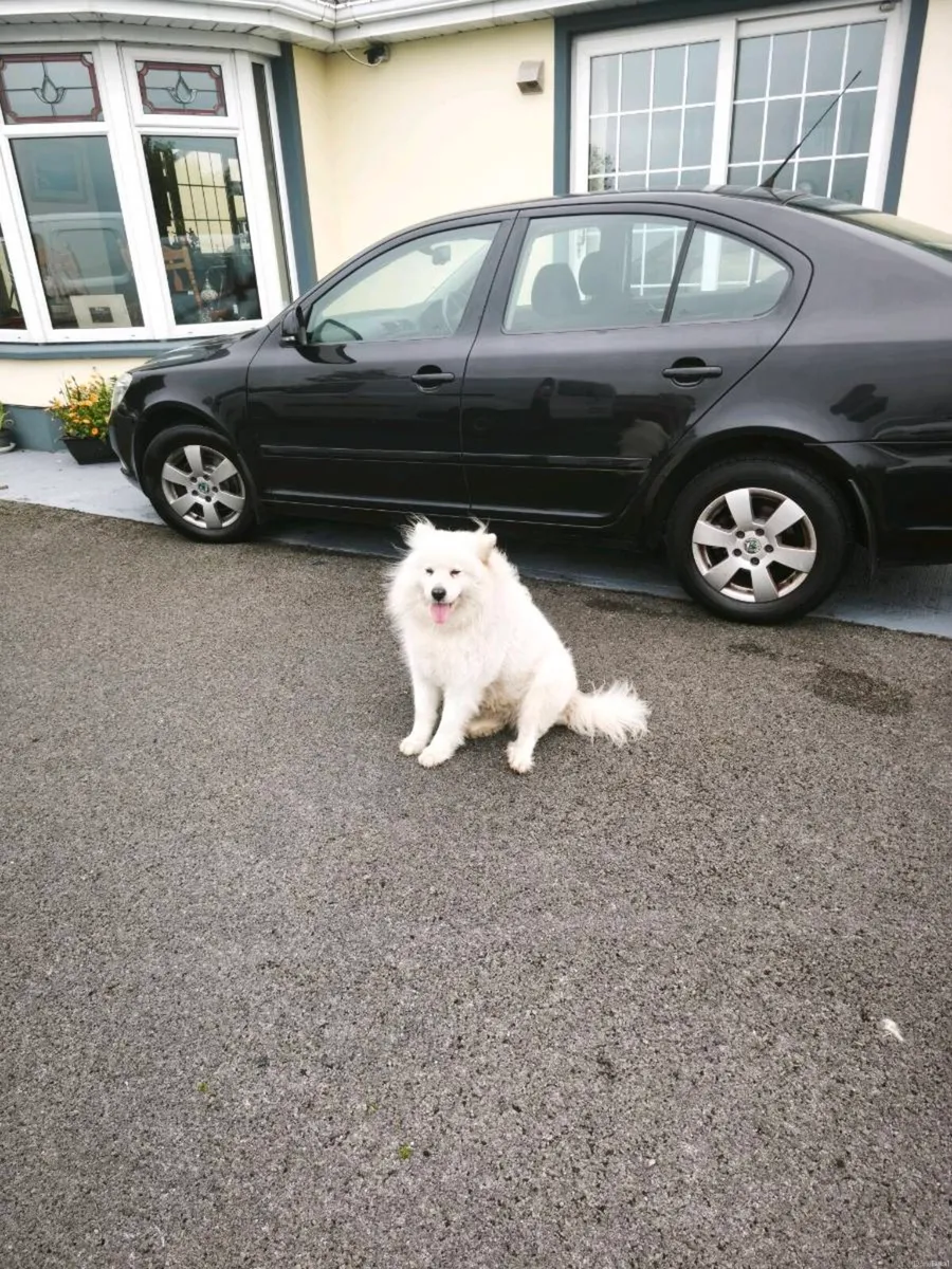 Skoda Octavia 1.9tdi €3850 ono - Image 1