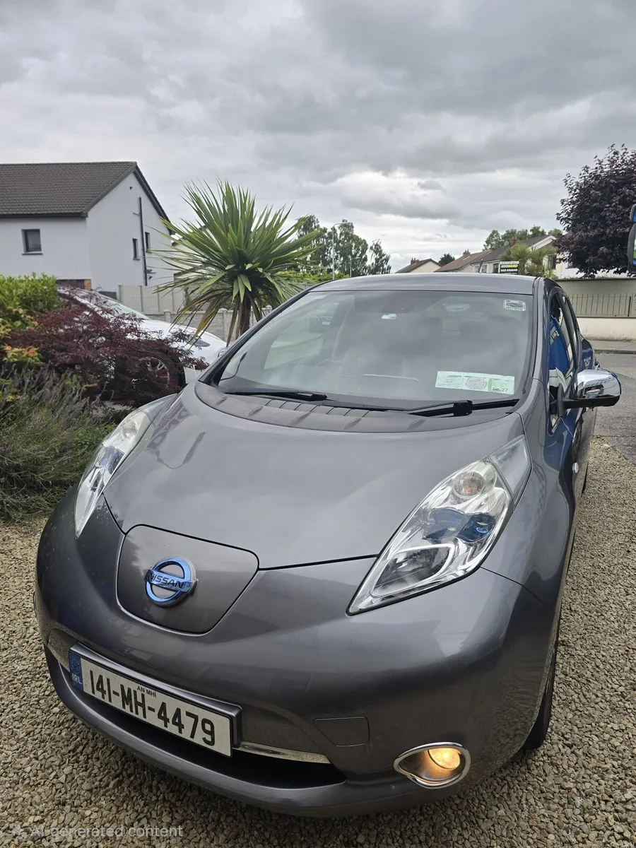 2014 Nissan Leaf Techna with Winter package - Image 1