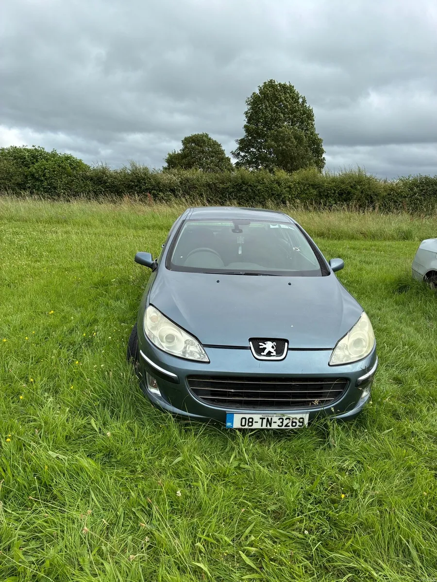 Peugeot 407 - Image 1