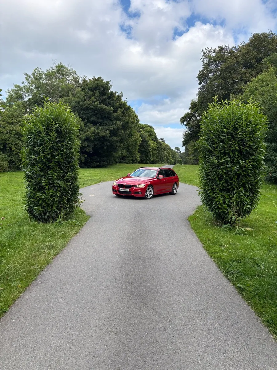 Bmw 320d F31 auto - Image 2