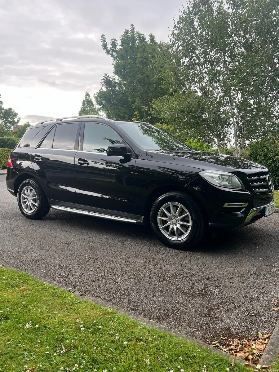 Mercedes ML250 - Image 1