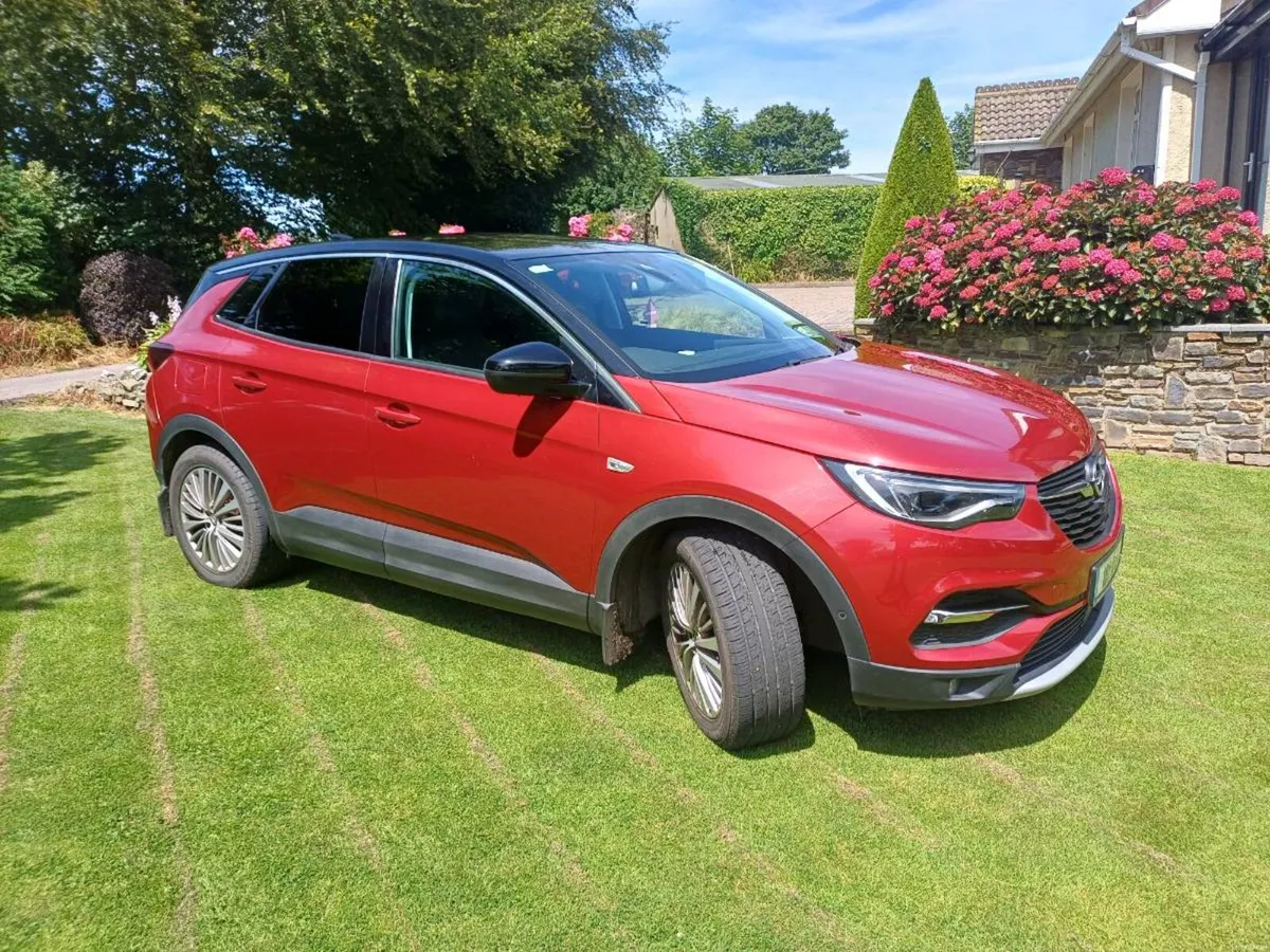 2018 Opel  Grandland x - Image 1