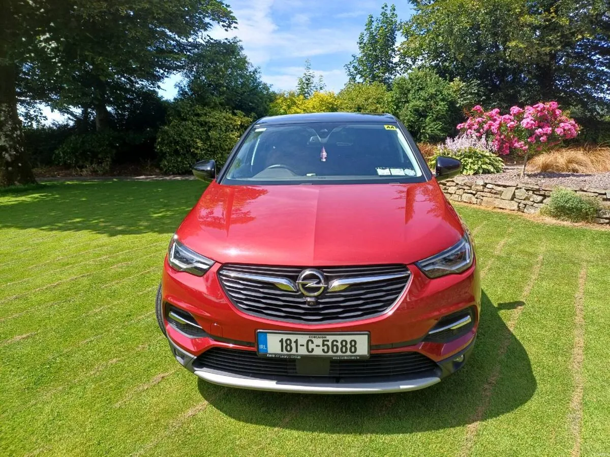 2018 Opel  Grandland x - Image 3
