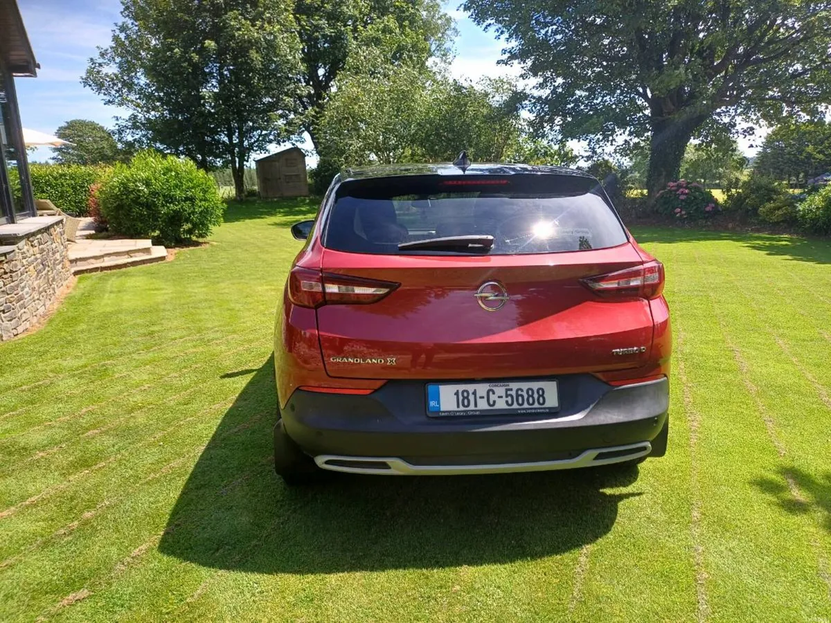 2018 Opel  Grandland x - Image 4