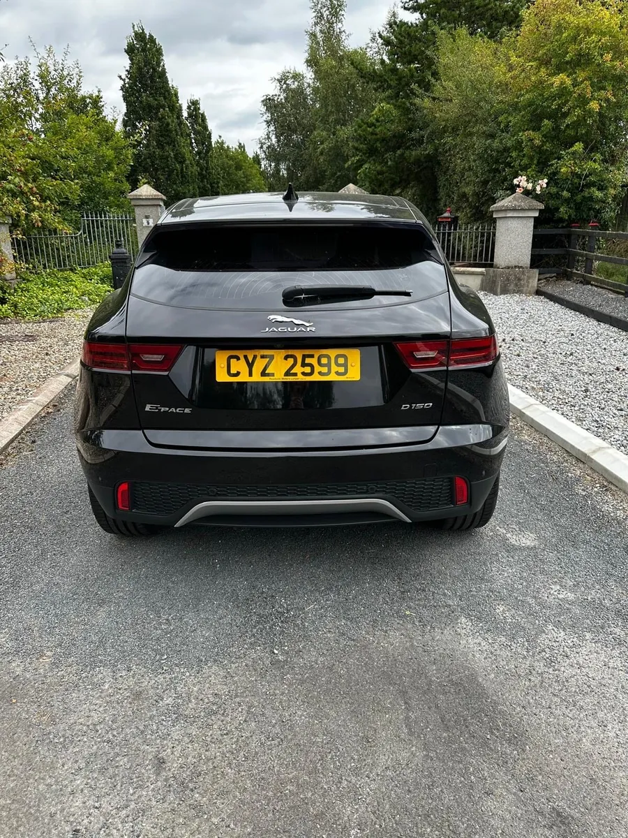 Jaguar e pace - Image 2