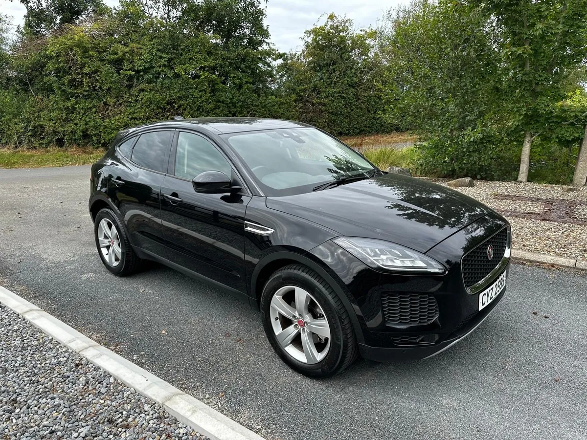 Jaguar e pace - Image 3