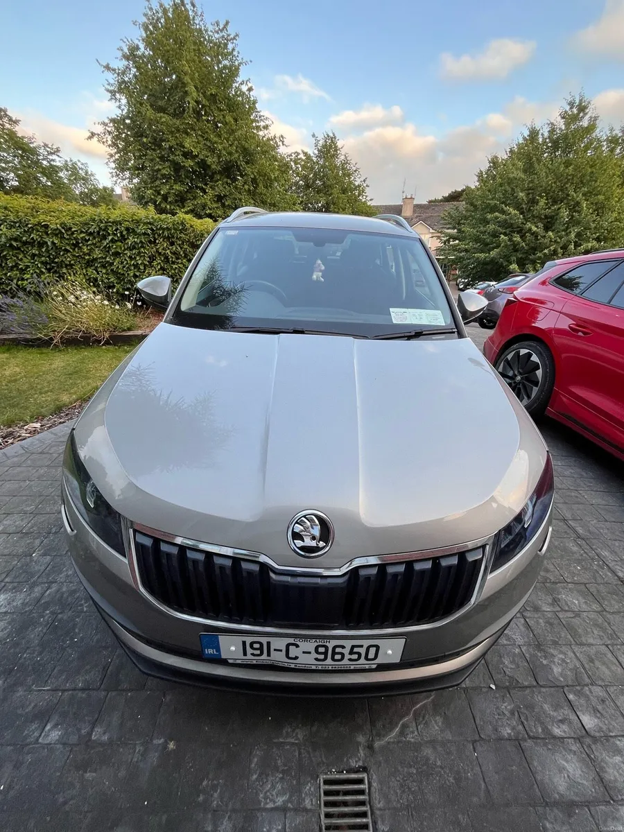 1.0TSI Skoda Karoq - Image 4