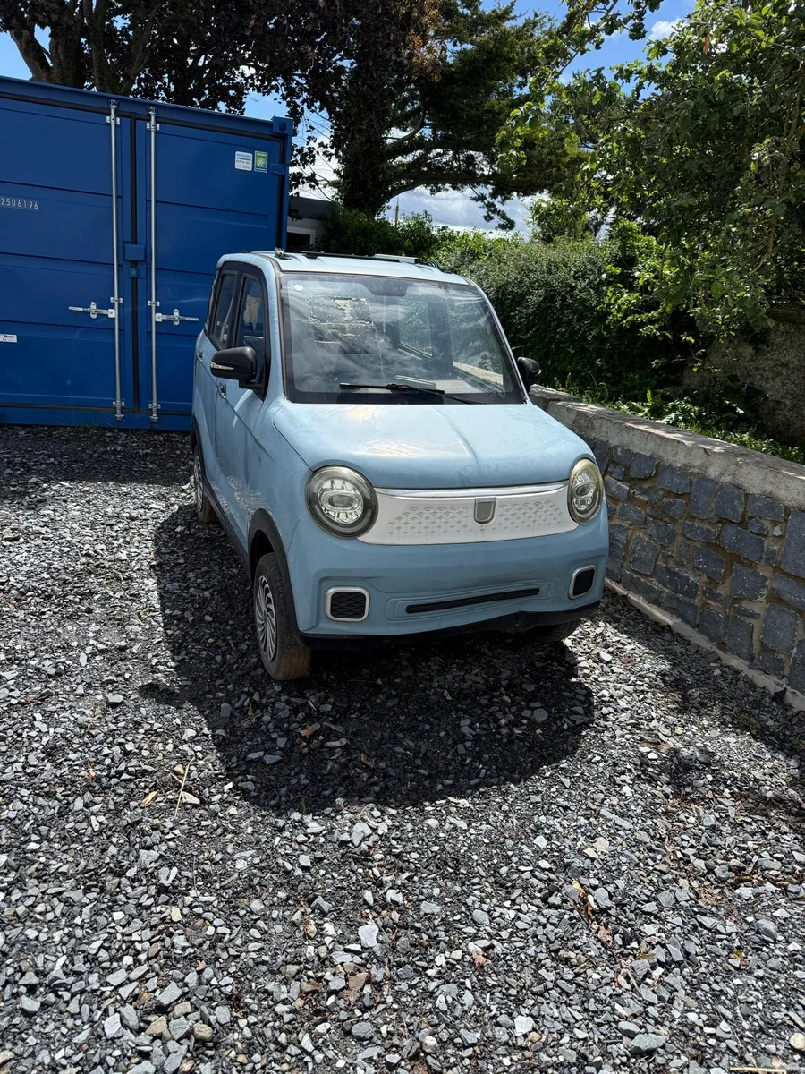 Raccoon electric motor car - Image 3