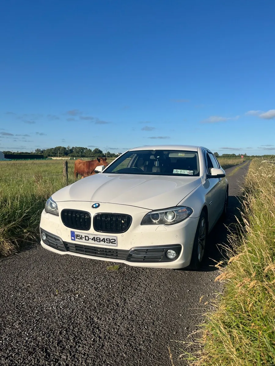BMW 520d Automatic - Image 4