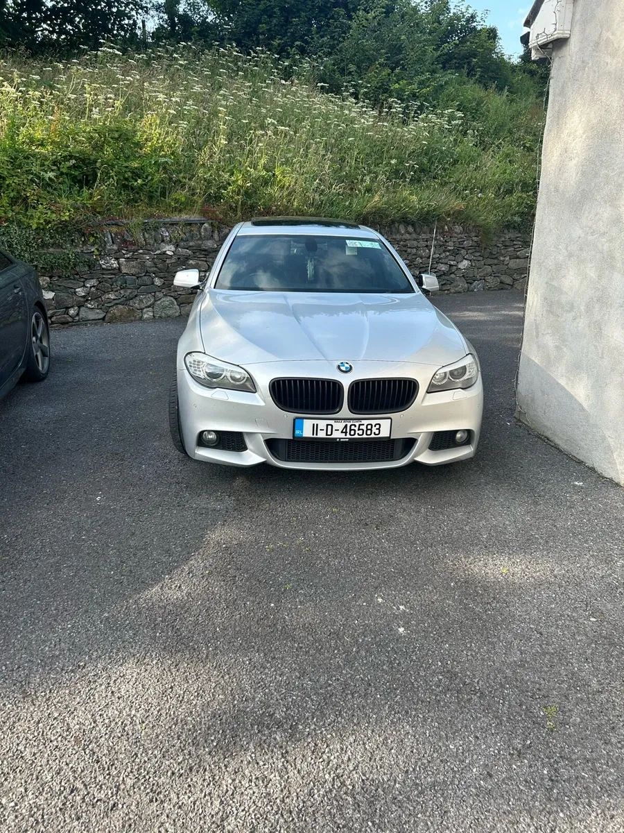 BMW 530d - Image 2