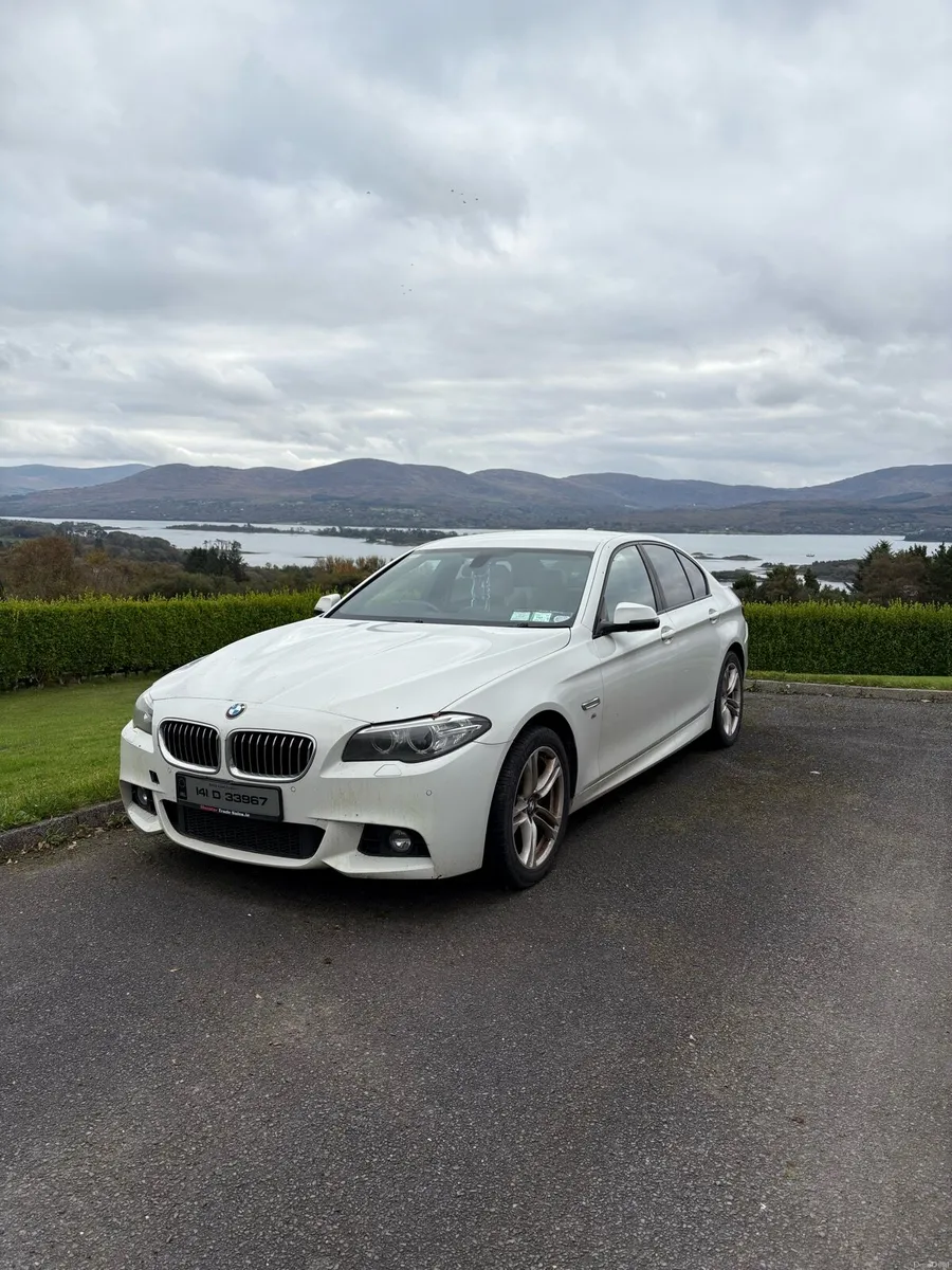BMW 520d - Image 1