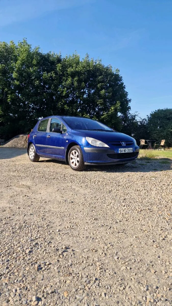 Peugeot 307 1.4 2004 - Image 2