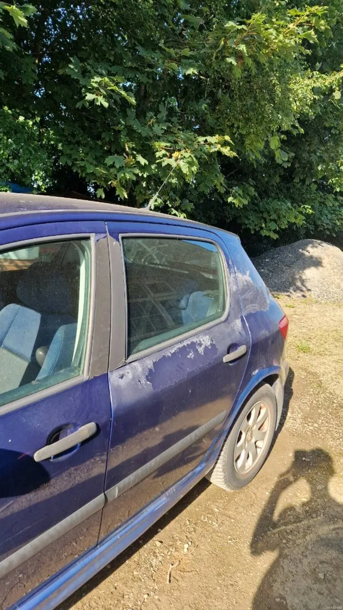 Peugeot 307 1.4 2004 - Image 3
