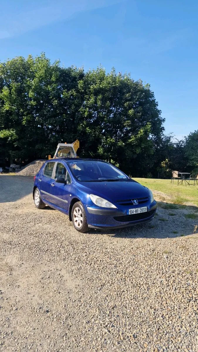 Peugeot 307 1.4 2004 - Image 5