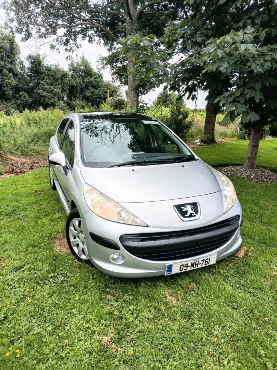 2009 Peugeot 207 - Image 1